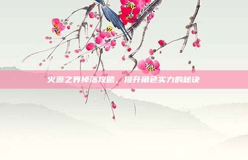 火源之界掉落攻略,提升角色实力的秘诀