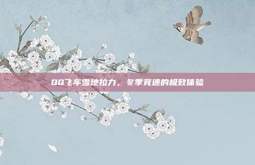 QQ飞车雪地拉力,冬季竞速的极致体验