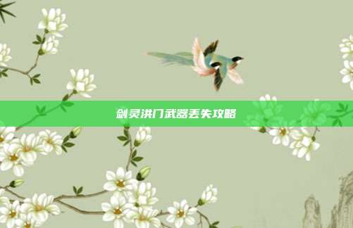 剑灵洪门武器丢失攻略