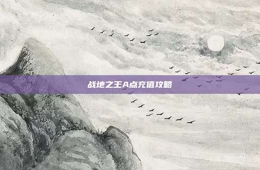 战地之王A点充值攻略