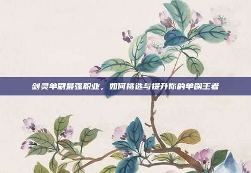 剑灵单刷最强职业，如何挑选与提升你的单刷王者