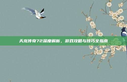 天龙传奇72深度解析,游戏攻略与技巧全指南