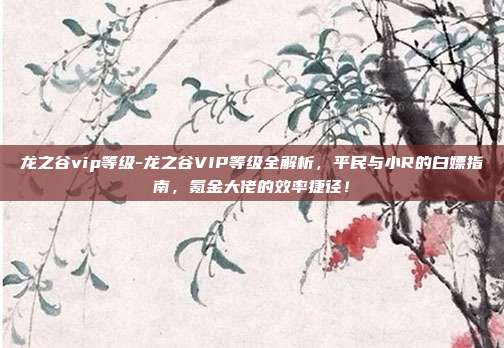 龙之谷vip等级-龙之谷VIP等级全解析,平民与小R的白嫖指南,氪金大佬的效率捷径!