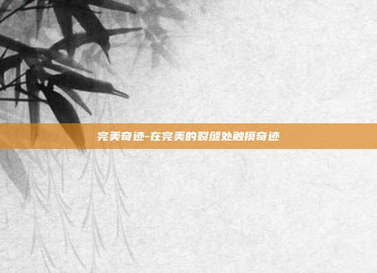 完美奇迹-在完美的裂缝处触摸奇迹