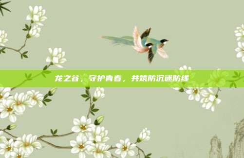 龙之谷,守护青春,共筑防沉迷防线