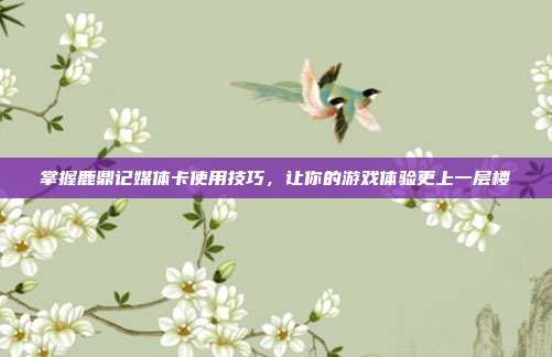 掌握鹿鼎记媒体卡使用技巧,让你的游戏体验更上一层楼