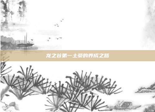 龙之谷第一土豪的养成之路