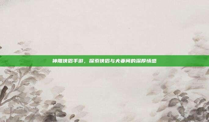 神雕侠侣手游，探索侠侣与夫妻间的深厚情感