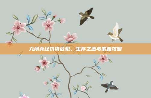 九阴真经饥饿危机,生存之道与策略攻略