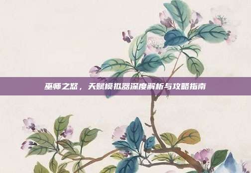 巫师之怒,天赋模拟器深度解析与攻略指南
