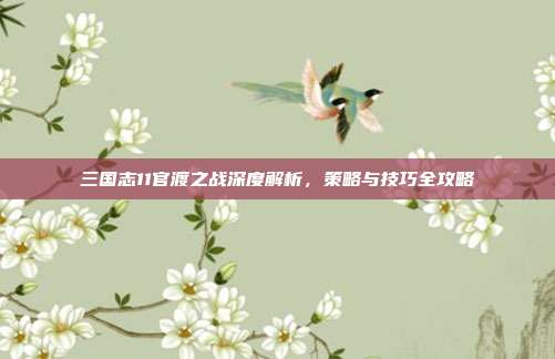 三国志11官渡之战深度解析,策略与技巧全攻略
