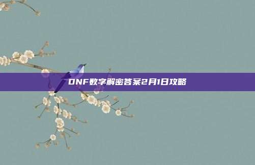 DNF数字解密答案2月1日攻略