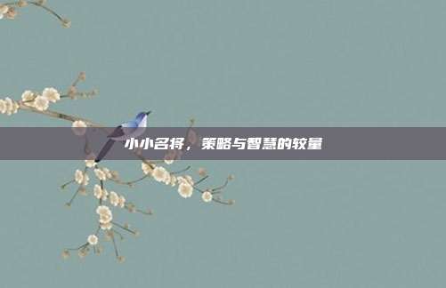 小小名将,策略与智慧的较量