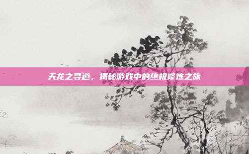天龙之寻道,揭秘游戏中的终极修炼之旅