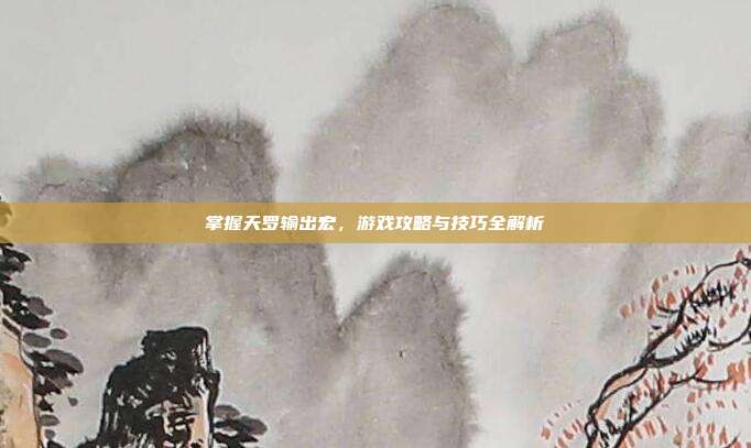 掌握天罗输出宏,游戏攻略与技巧全解析