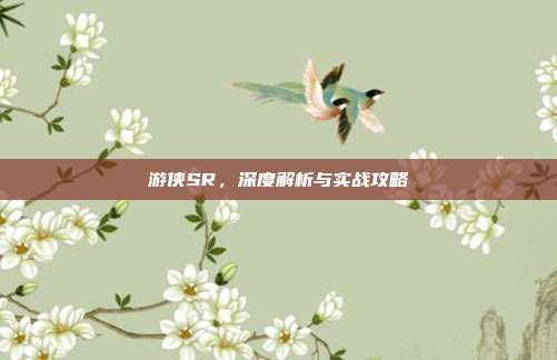 游侠SR，深度解析与实战攻略