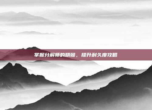 掌握分解师的精髓,提升耐久度攻略