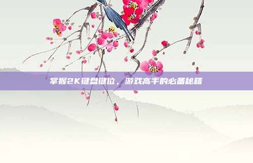 掌握2K键盘键位,游戏高手的必备秘籍