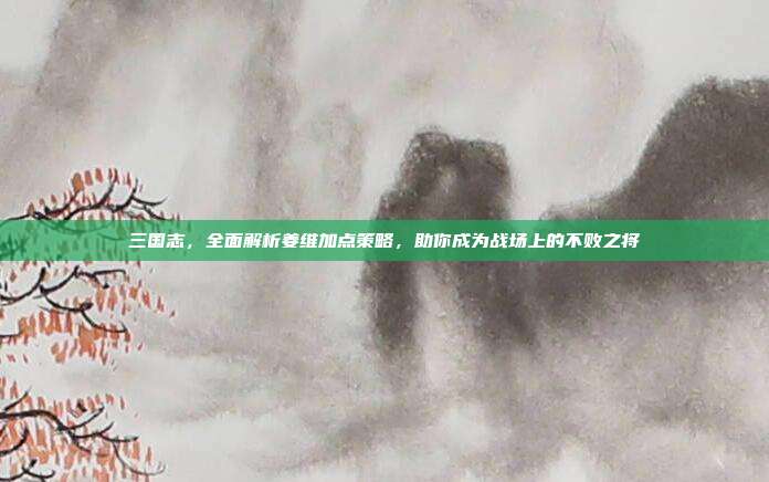 三国志,全面解析姜维加点策略,助你成为战场上的不败之将