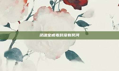 灵魂宝戒毒对没有冥河