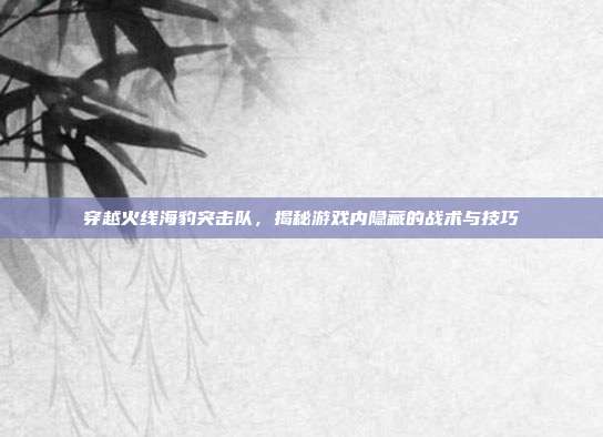 穿越火线海豹突击队,揭秘游戏内隐藏的战术与技巧