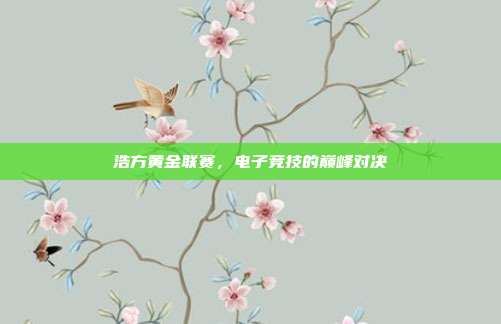 浩方黄金联赛,电子竞技的巅峰对决