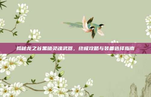 揭秘龙之谷黑暗灵魂武器,终极攻略与装备选择指南