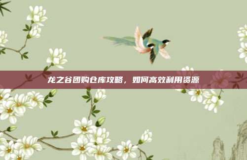 龙之谷团购仓库攻略,如何高效利用资源