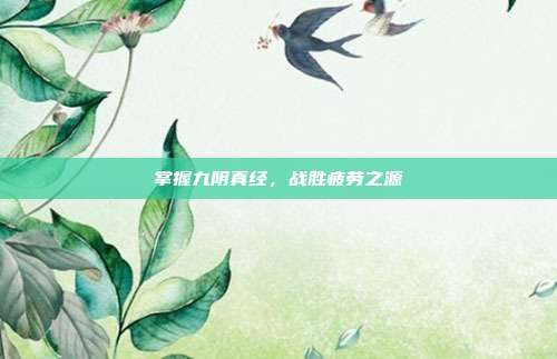 掌握九阴真经,战胜疲劳之源