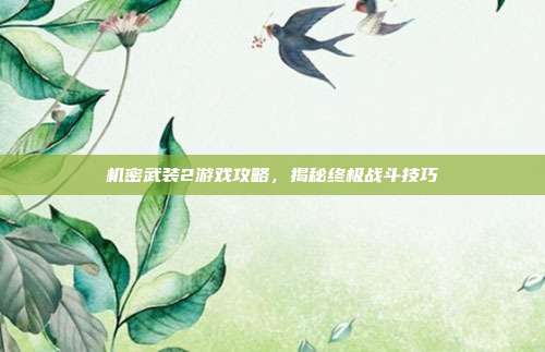 机密武装2游戏攻略,揭秘终极战斗技巧