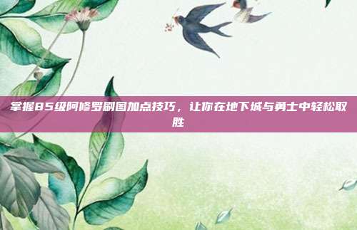 掌握85级阿修罗刷图加点技巧,让你在地下城与勇士中轻松取胜