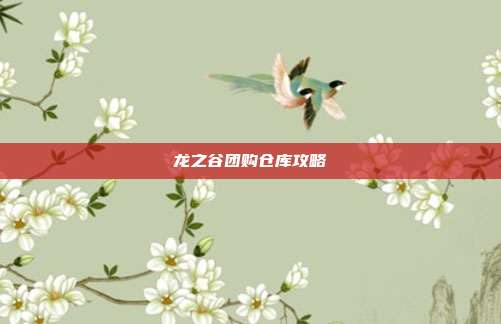 龙之谷团购仓库攻略