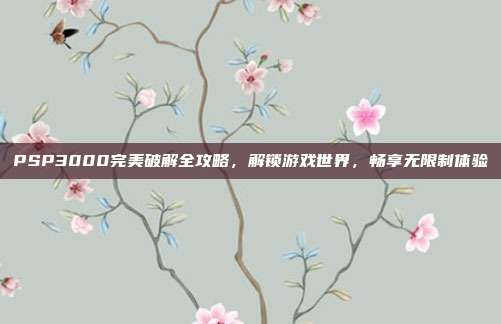 PSP3000完美破解全攻略，解锁游戏世界，畅享无限制体验