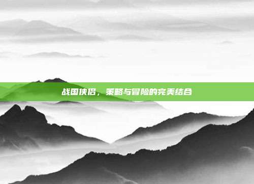 战国侠侣,策略与冒险的完美结合