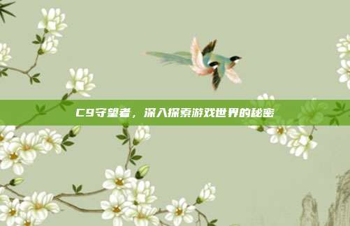 C9守望者，深入探索游戏世界的秘密