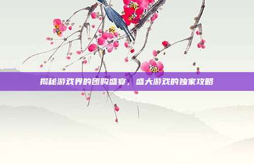 揭秘游戏界的团购盛宴,盛大游戏的独家攻略