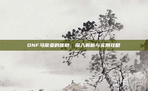 DNF马蒂亚的援助，深入解析与实用攻略