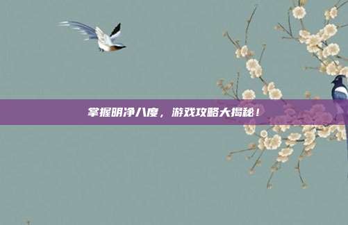 掌握明净八度,游戏攻略大揭秘!