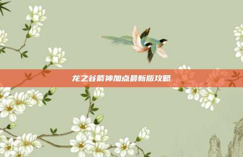 龙之谷箭神加点最新版攻略