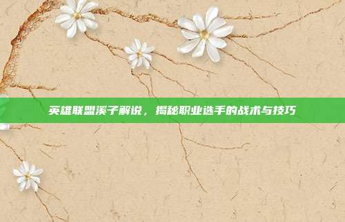 英雄联盟溪子解说,揭秘职业选手的战术与技巧