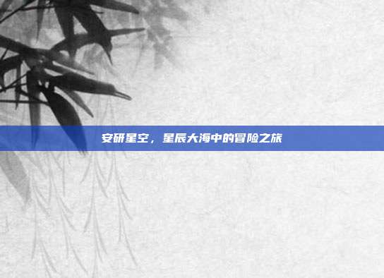 安研星空,星辰大海中的冒险之旅