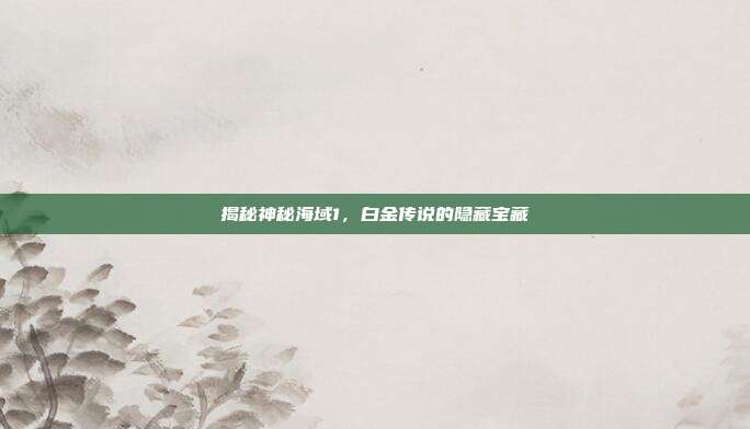 揭秘神秘海域1,白金传说的隐藏宝藏