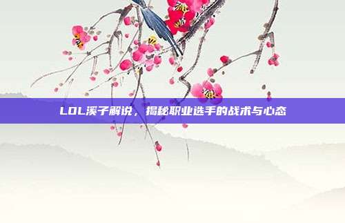 LOL溪子解说,揭秘职业选手的战术与心态
