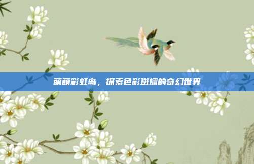 萌萌彩虹岛,探索色彩斑斓的奇幻世界