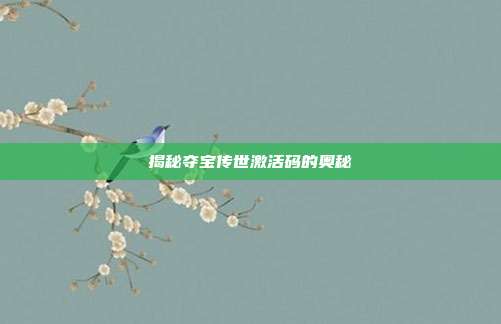揭秘夺宝传世激活码的奥秘