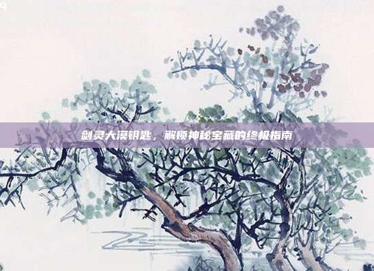 剑灵大漠钥匙,解锁神秘宝藏的终极指南