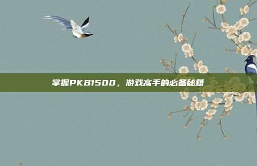 掌握PKB1500,游戏高手的必备秘籍