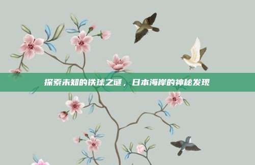 探索未知的铁球之谜,日本海岸的神秘发现