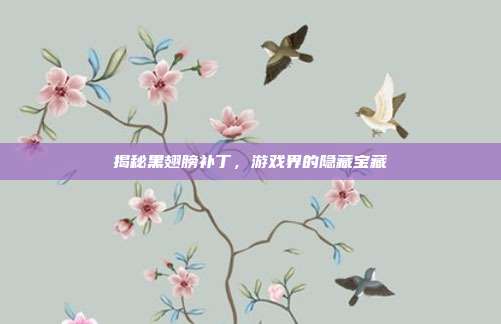 揭秘黑翅膀补丁,游戏界的隐藏宝藏