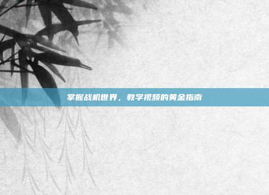 掌握战机世界,教学视频的黄金指南
